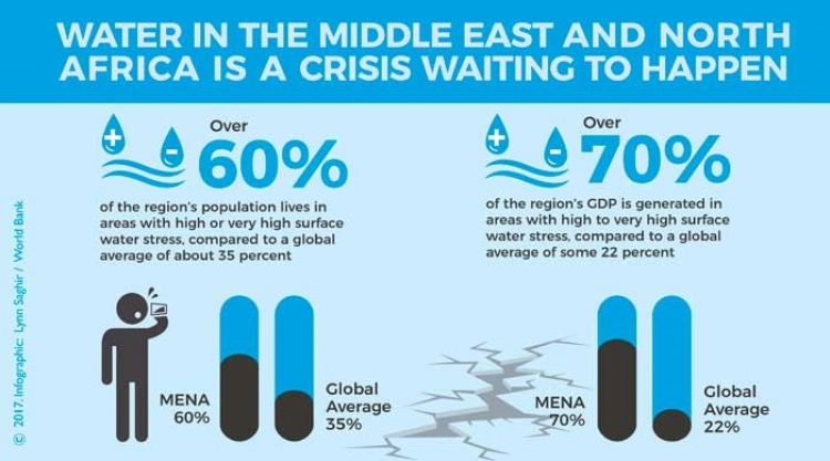 MENA water