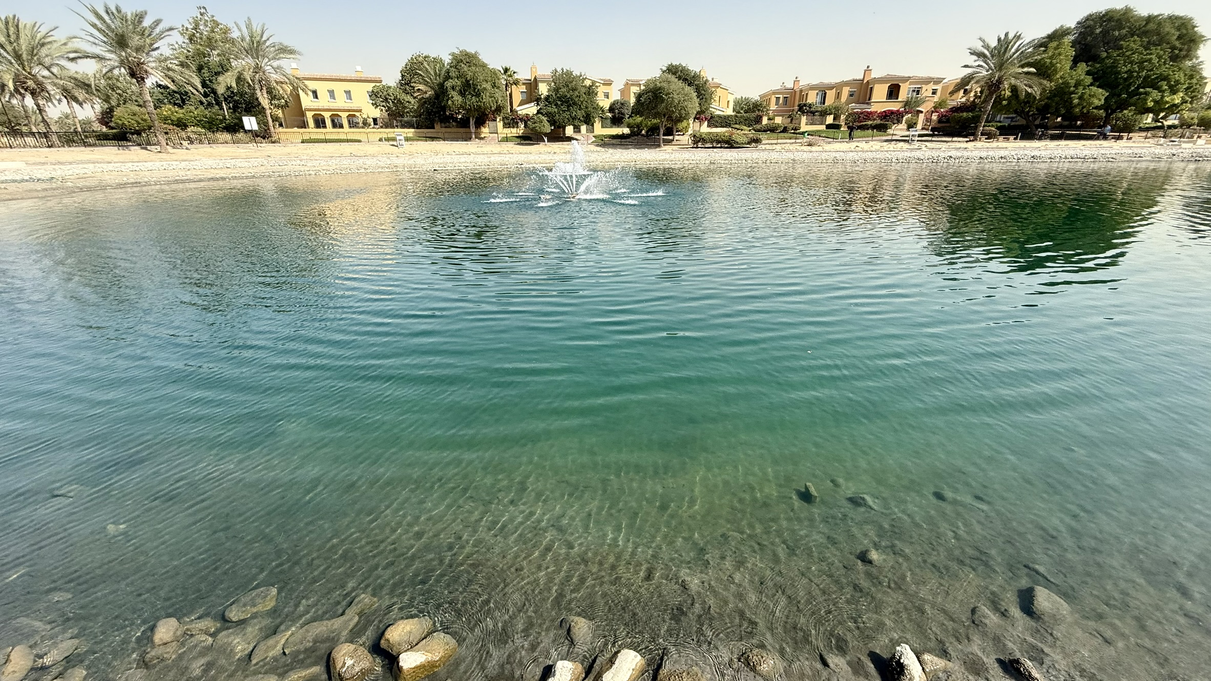 ECO Lake - Palmera view 2